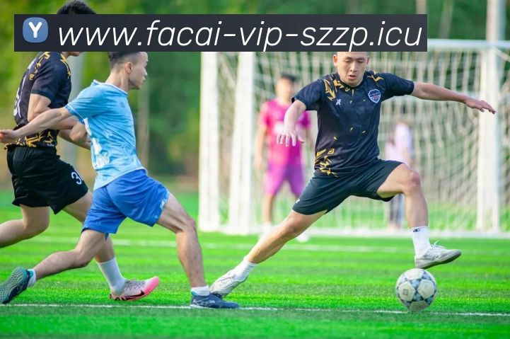 乐鱼体育注册品牌故事